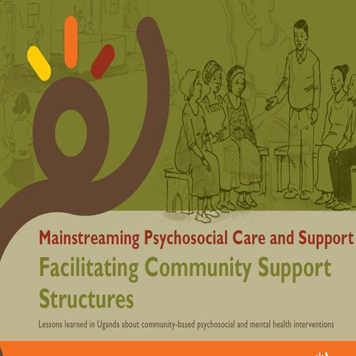 Facilitating Community Support Structures 2010