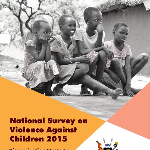 National Survey on Violence Against Children 2015